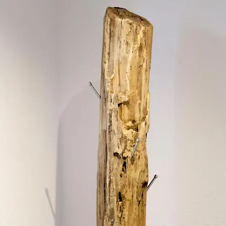 Moderne Zum Wohlfuehlen Bei Wangen