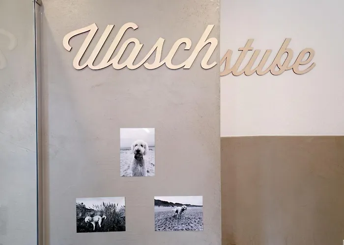 Appartement Moderne Zum Wohlfuehlen Bei Wangen *